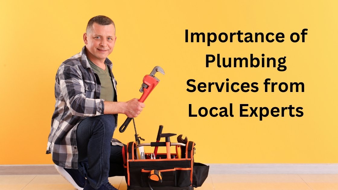 Importance of Plumbing Services from Local Experts