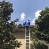 The Woodlands Premier Roofing-3