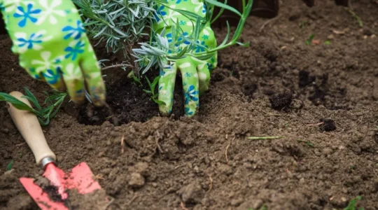 Home 1 9 earth works image 4