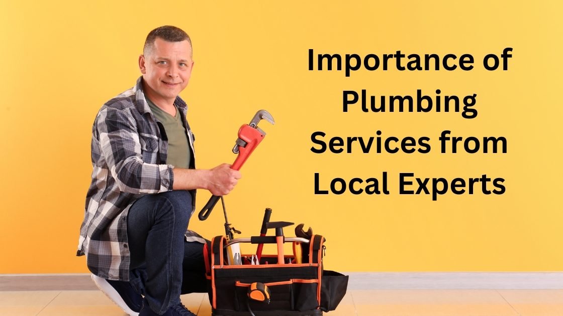 Importance of Plumbing Services from Local Experts